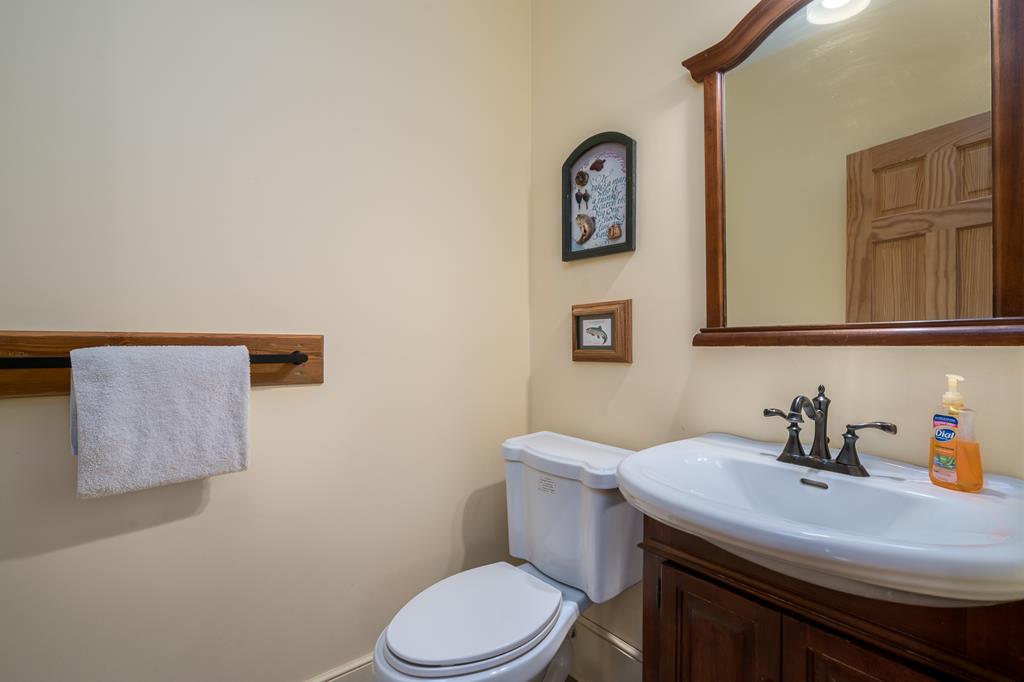 87 Riverview Lane Blue Ridge, GA 30513 - Photo 54 of 74 a bathroom with a sink a toilet and mirror