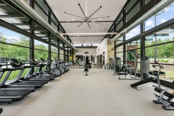 $3,000 | 313 Serenata Woods Trail, Conroe, TX 77318