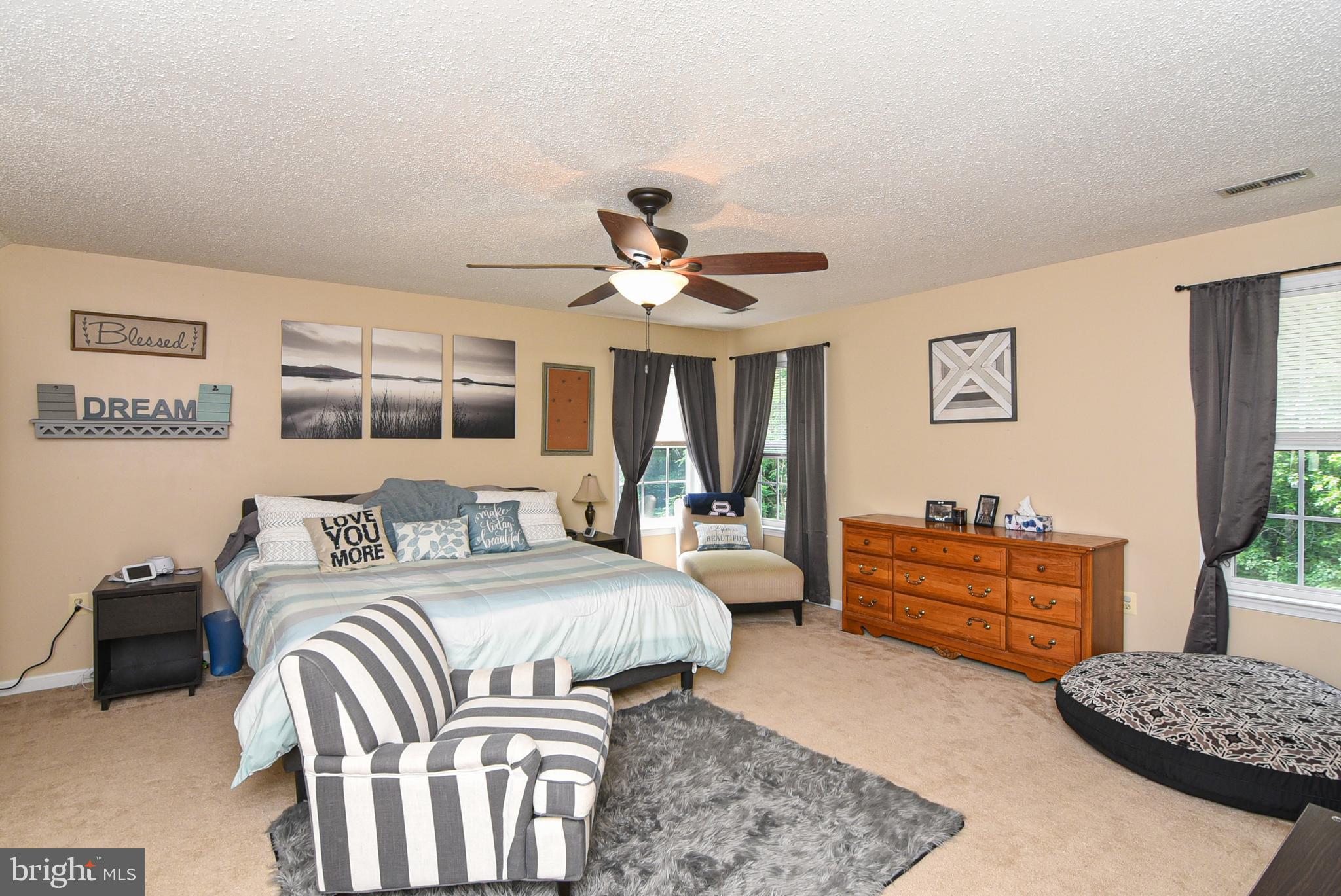 6053 Igo Road King George, VA 22485 - Photo 20 of 44 Primary Bedroom with Carpet & Ceiling Fan