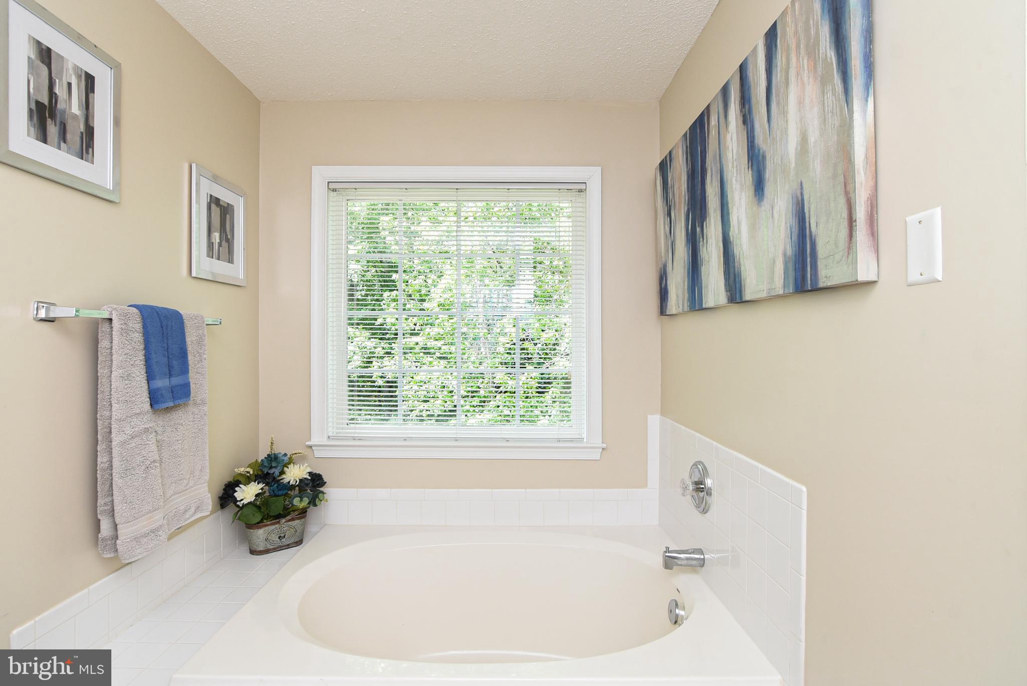 6053 Igo Road King George, VA 22485 - Photo 23 of 44 Primary Bathroom with Garden Tub