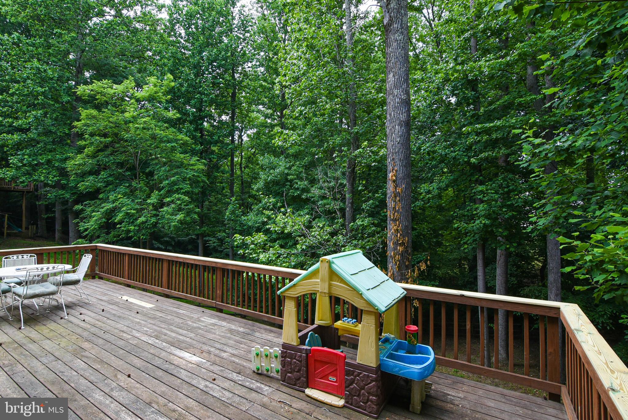 6053 Igo Road King George, VA 22485 - Photo 35 of 44 Spacious Lower Back Deck