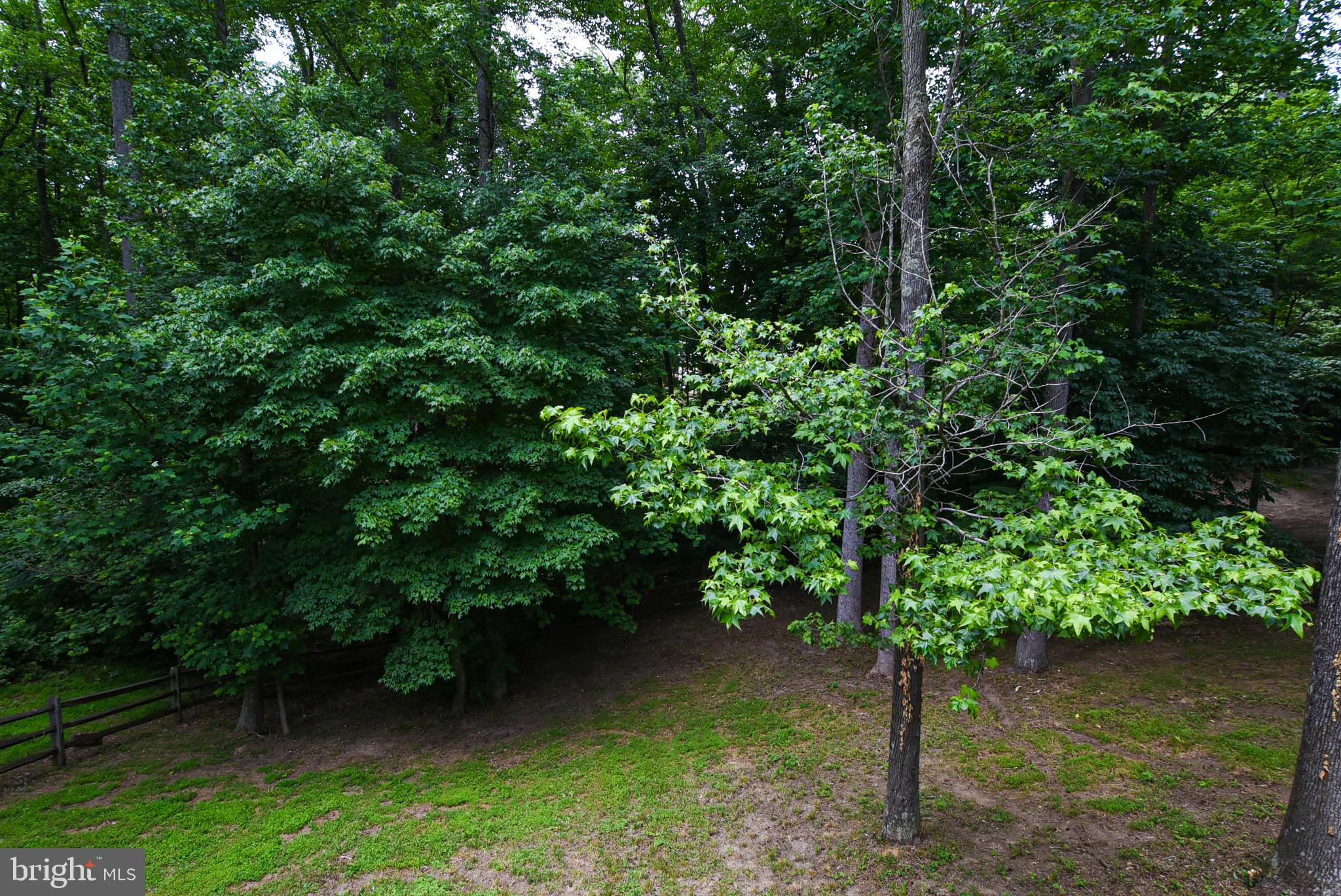 6053 Igo Road King George, VA 22485 - Photo 43 of 44 Backyard View
