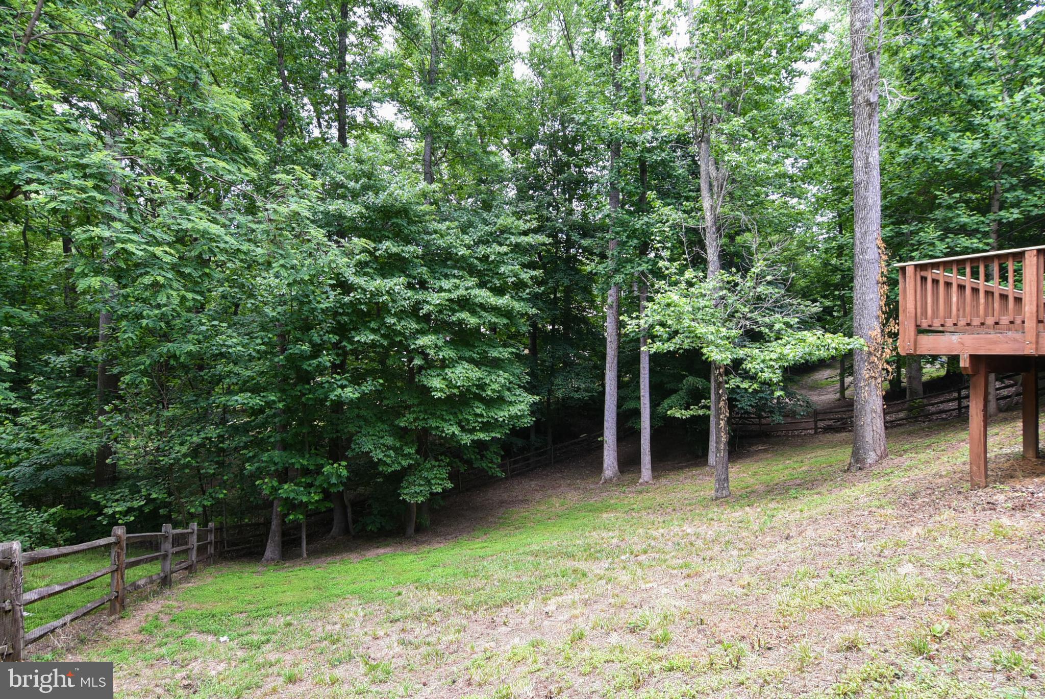 6053 Igo Road King George, VA 22485 - Photo 44 of 44 Backyard View