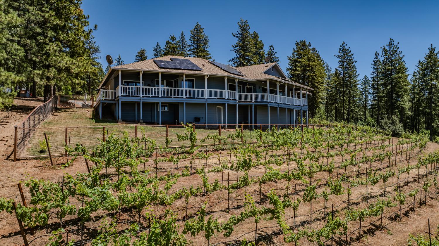 18591 Ponderosa Hills Road Volcano, CA 95689 - Photo 31 of 92