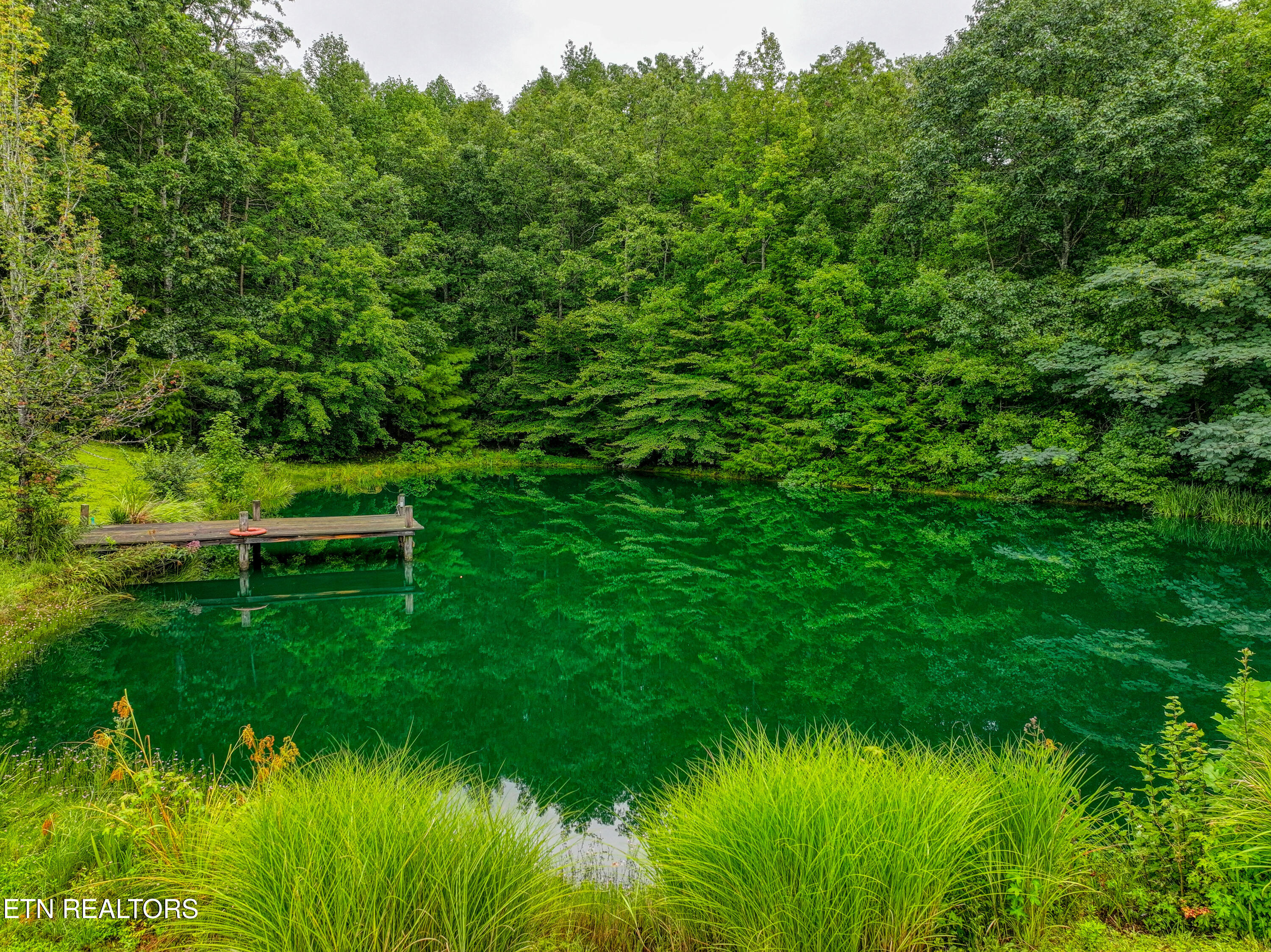 9161 Buffalo Road Oneida, TN 37841 - Photo 50 of 54 DJI_20250813124455_0355_D_93
