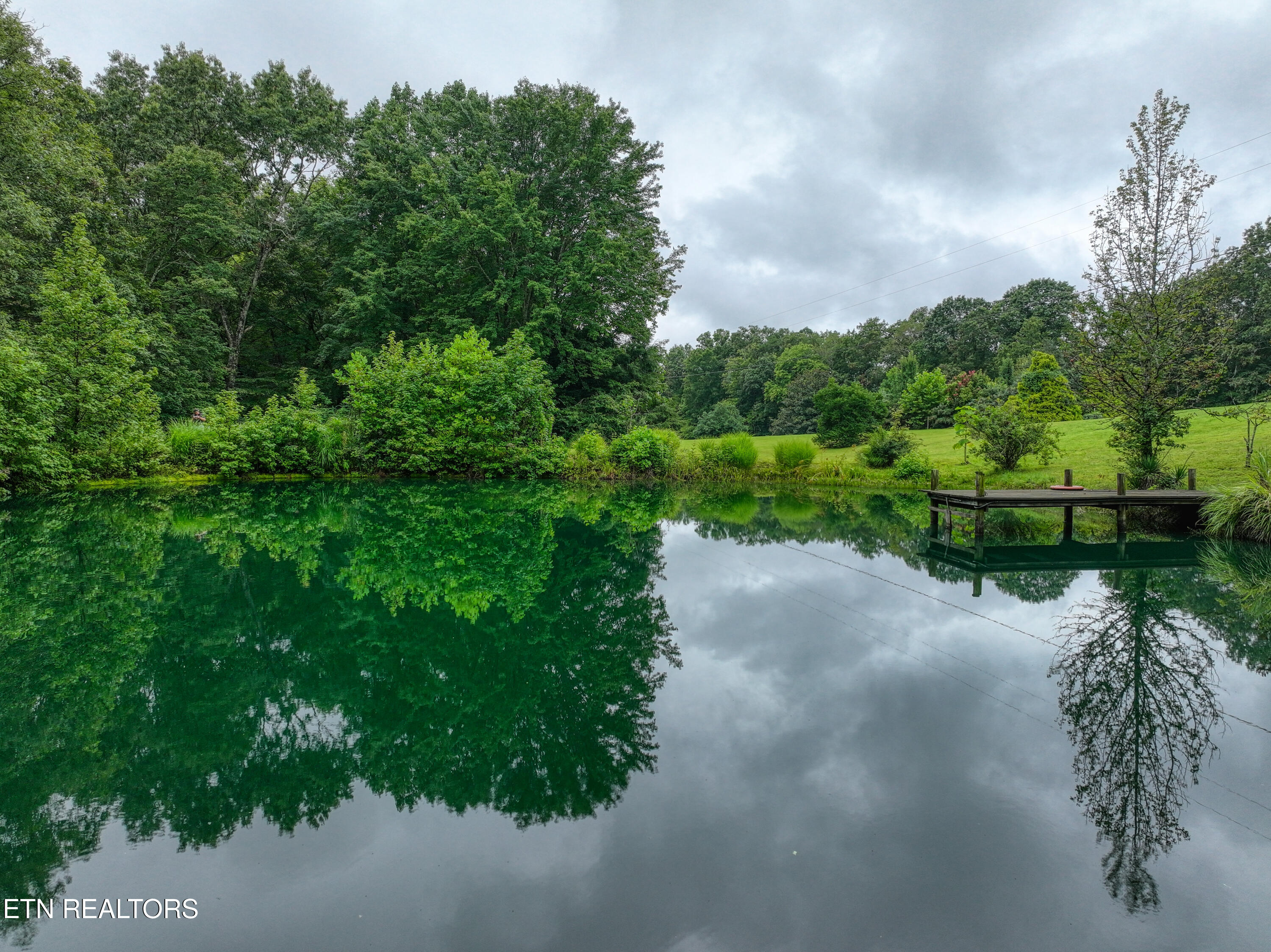 9161 Buffalo Road Oneida, TN 37841 - Photo 53 of 54 DJI_20250813124634_0380_D_98