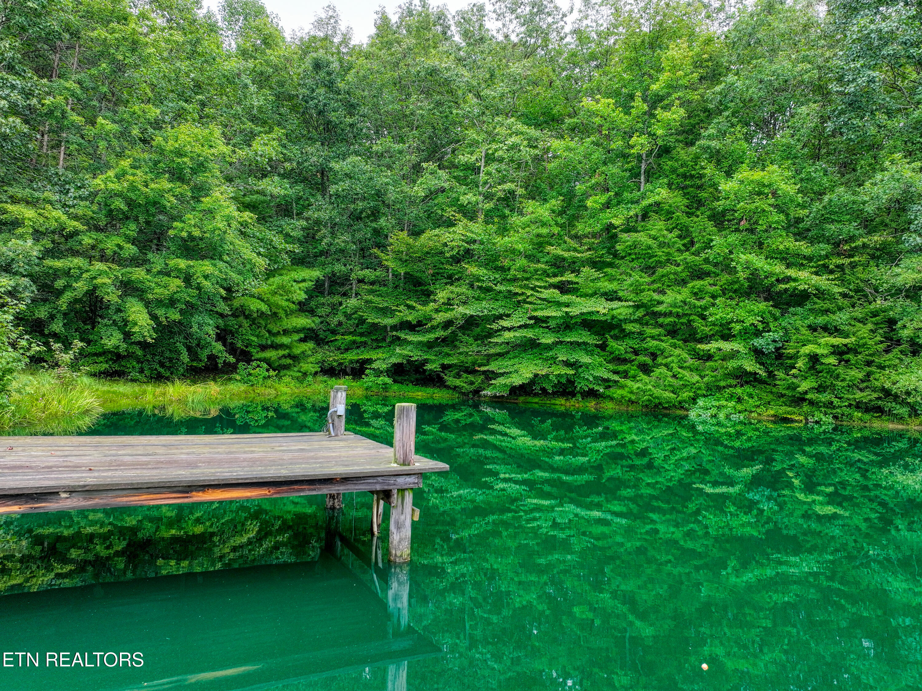 9161 Buffalo Road Oneida, TN 37841 - Photo 54 of 54 DJI_20250813124807_0405_D_103