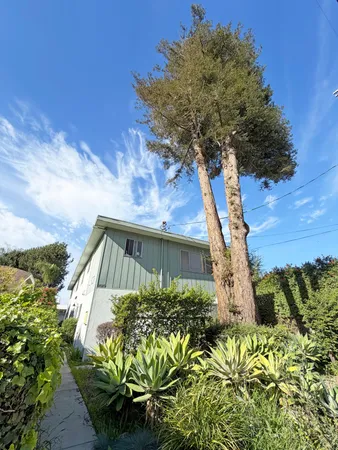a backyard of a house with lots of green space