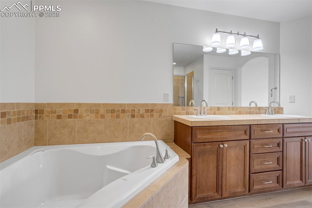 1571 Promontory Bluff View Colorado Springs, CO 80921 - Photo 21 of 49 a bathroom with a tub a sink and mirror