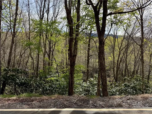 $53,000 | 308 Overbrook Trail, Beech Mountain, NC 28604