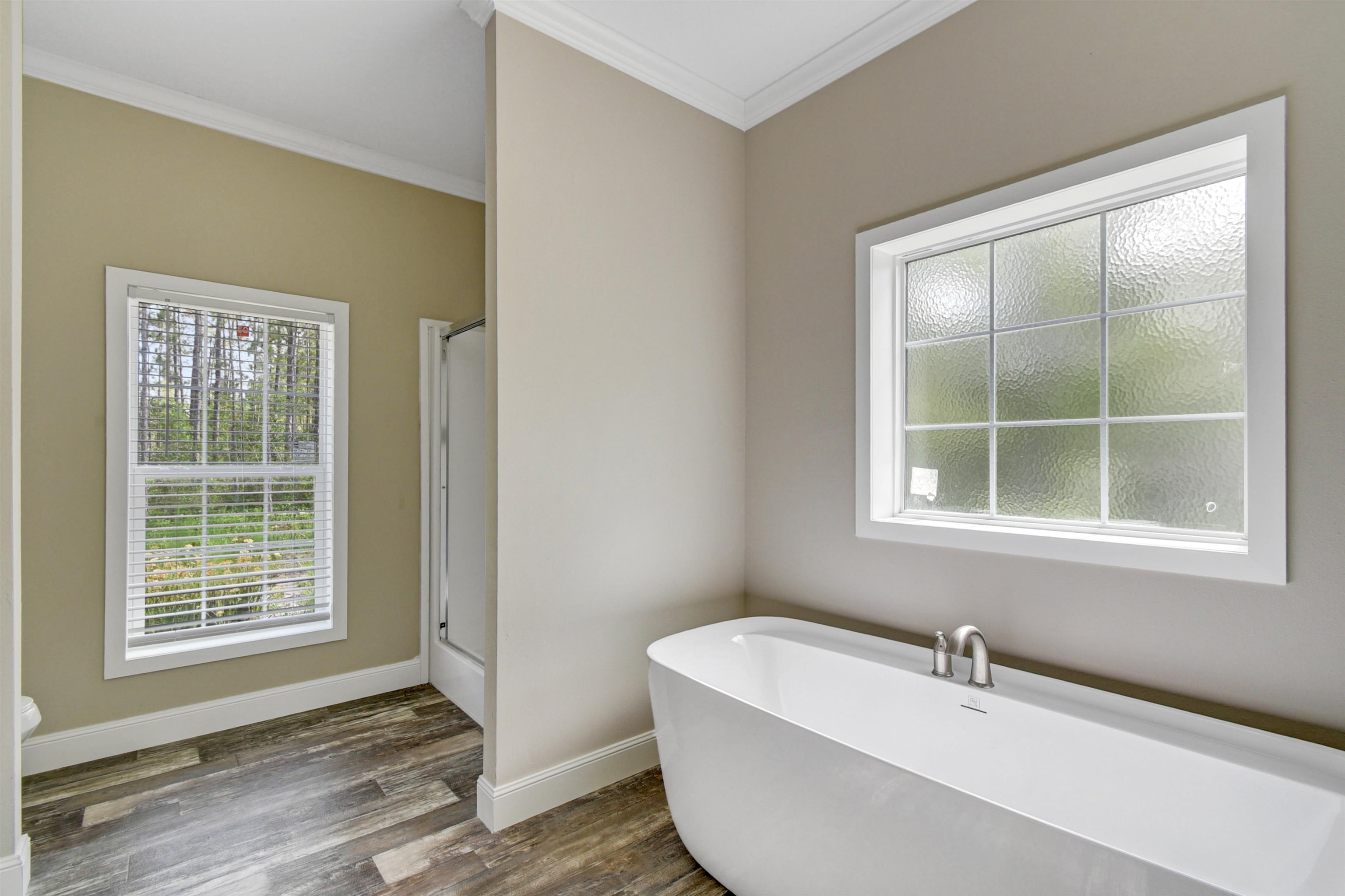 4240 Isaac Street Hastings, FL 32145 - Photo 15 of 19 Bathroom featuring a freestanding bath, plenty of natural light, ornamental molding, dark wood-style flooring, and a stall shower