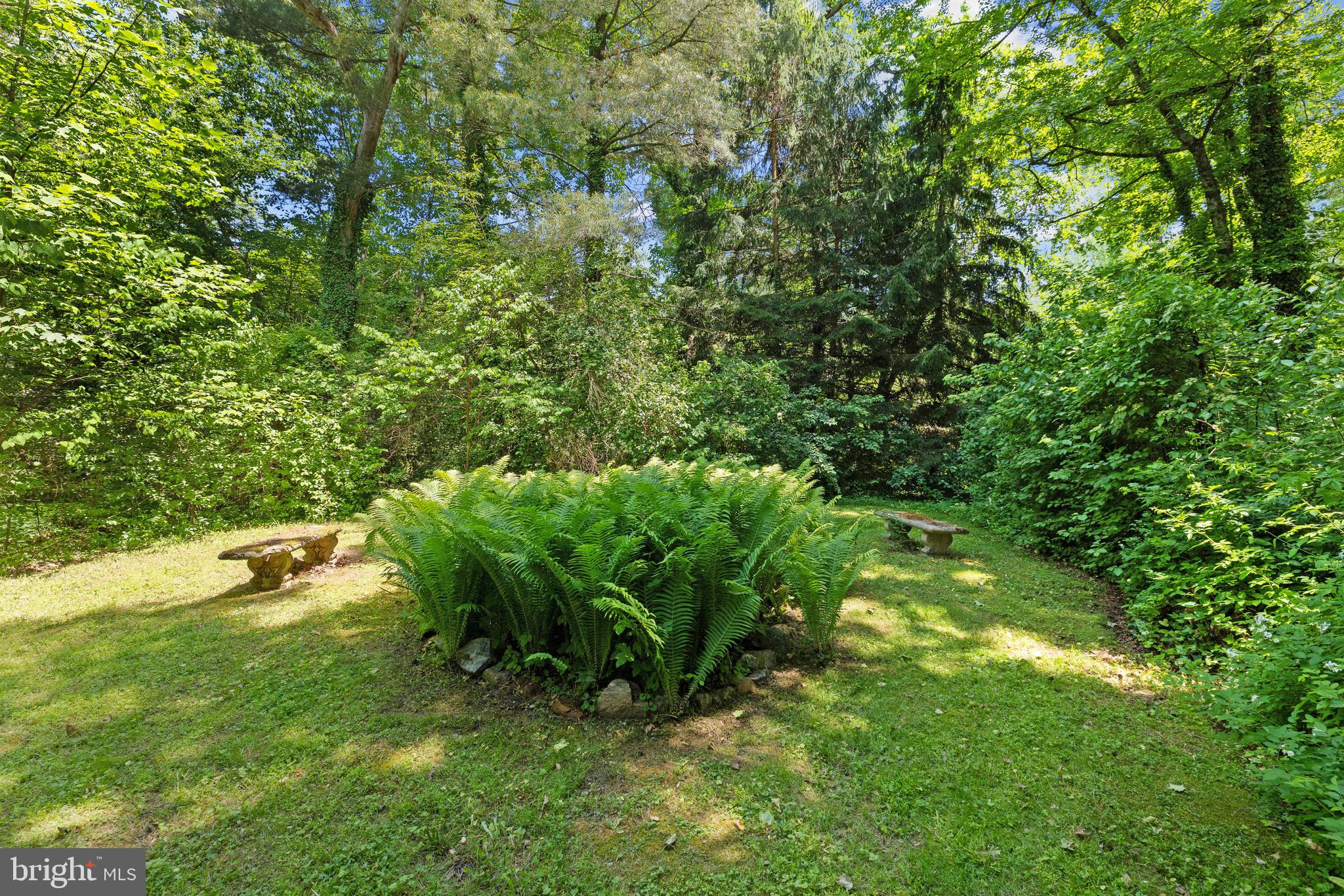 11708 Chapman Road Kingsville, MD 21087 - Photo 37 of 68 Fern Garden