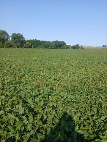 $799,000 | Lt0 County Rd T, Whitelaw, WI 54247