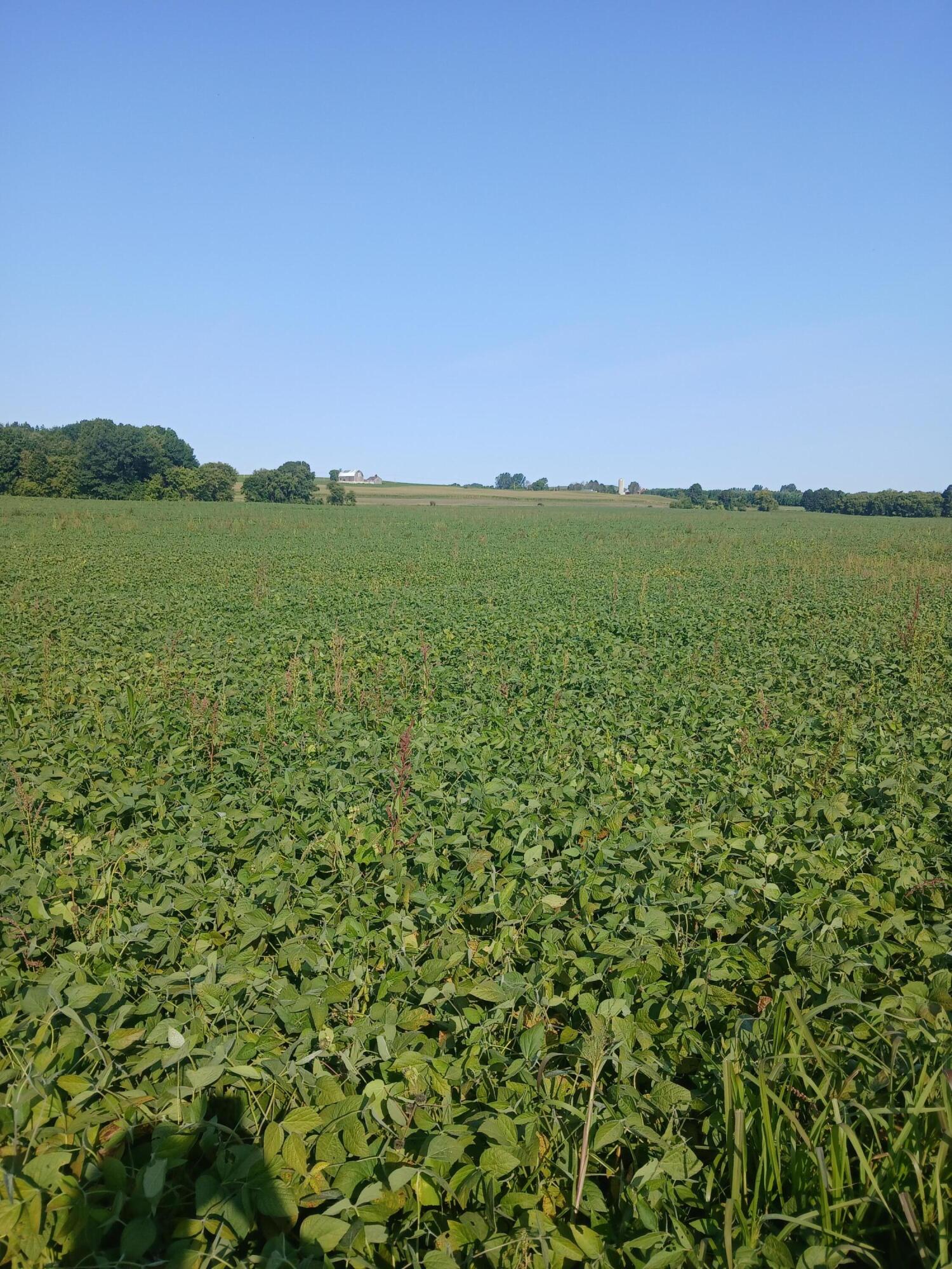 Lt0 County Rd T Whitelaw, WI 54247 - Photo 2 of 3 20250908_093202