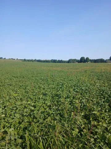 $799,000 | Lt0 County Rd T, Whitelaw, WI 54247