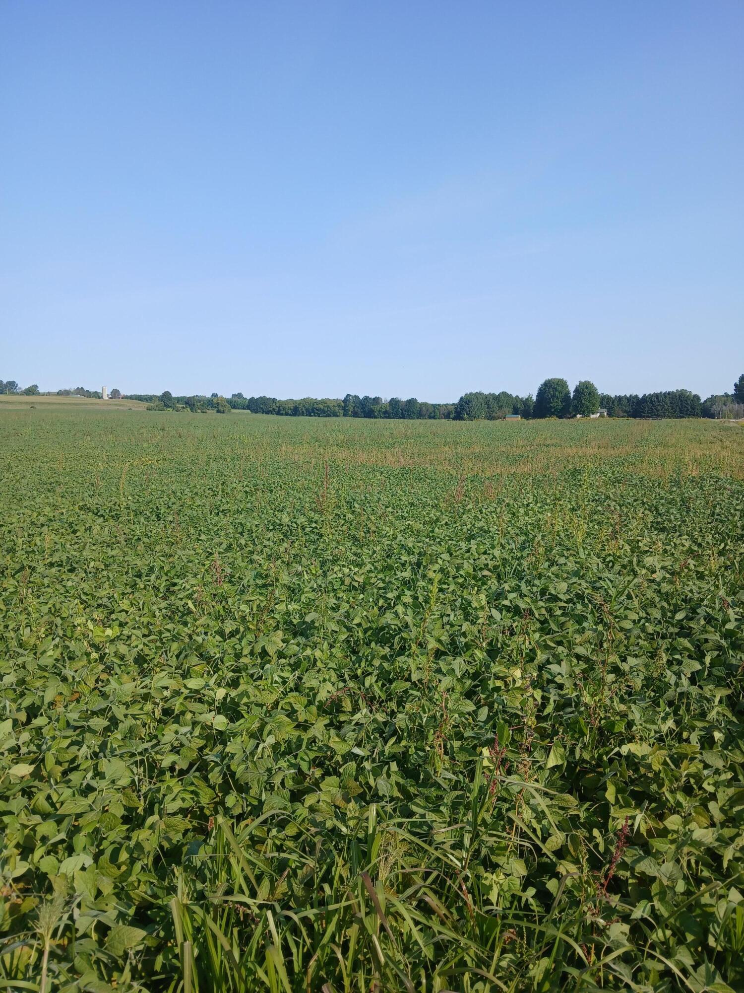 Lt0 County Rd T Whitelaw, WI 54247 - Photo 3 of 3 20250908_093059 (1)