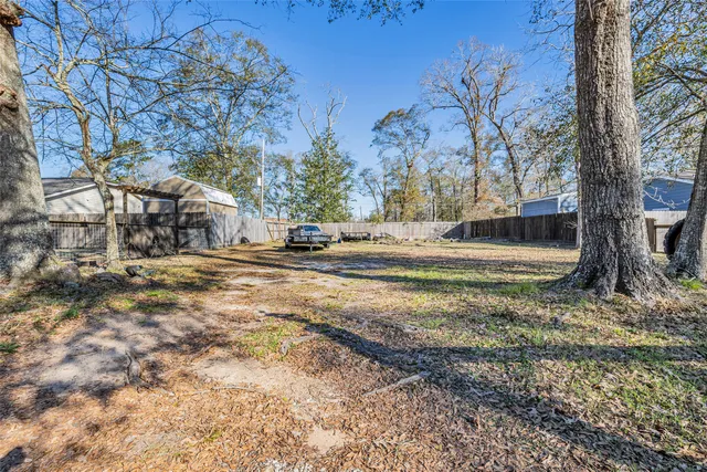 a view of a backyard with large tree