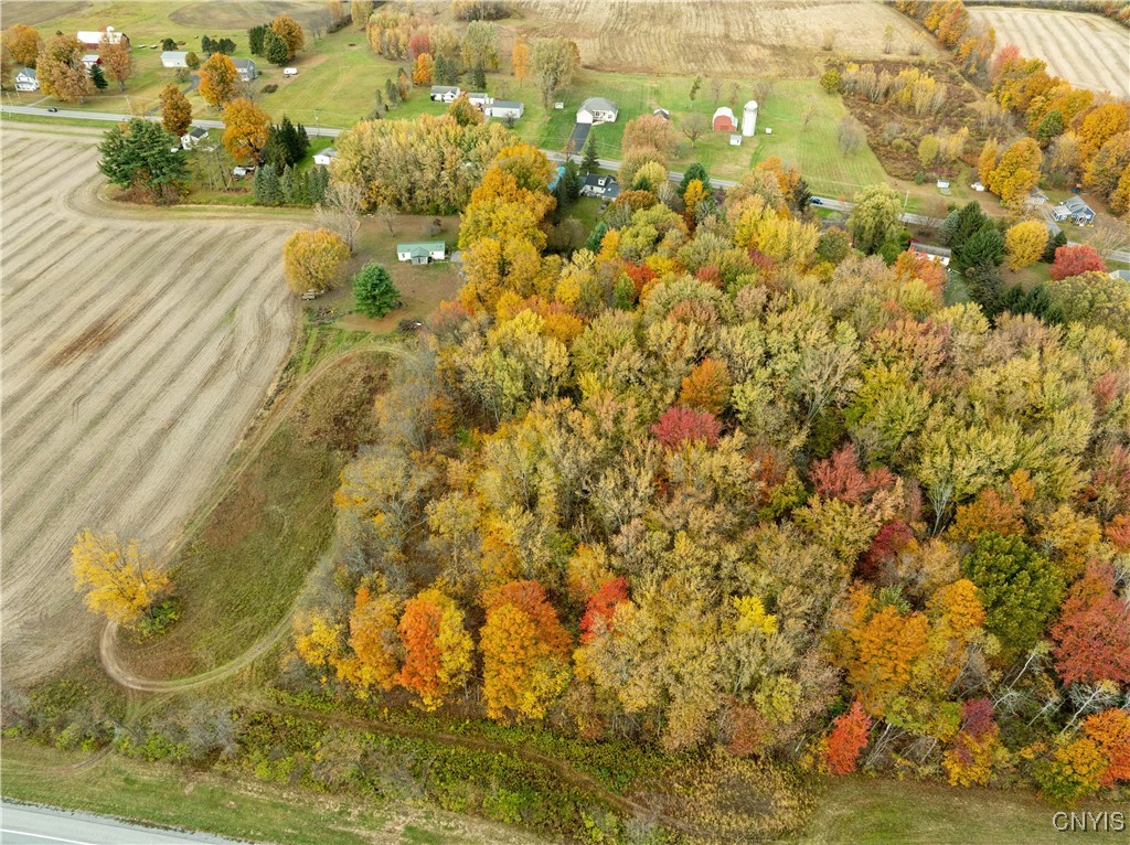 1302 Fyler Road Sullivan, NY 13082 - Photo 44 of 44