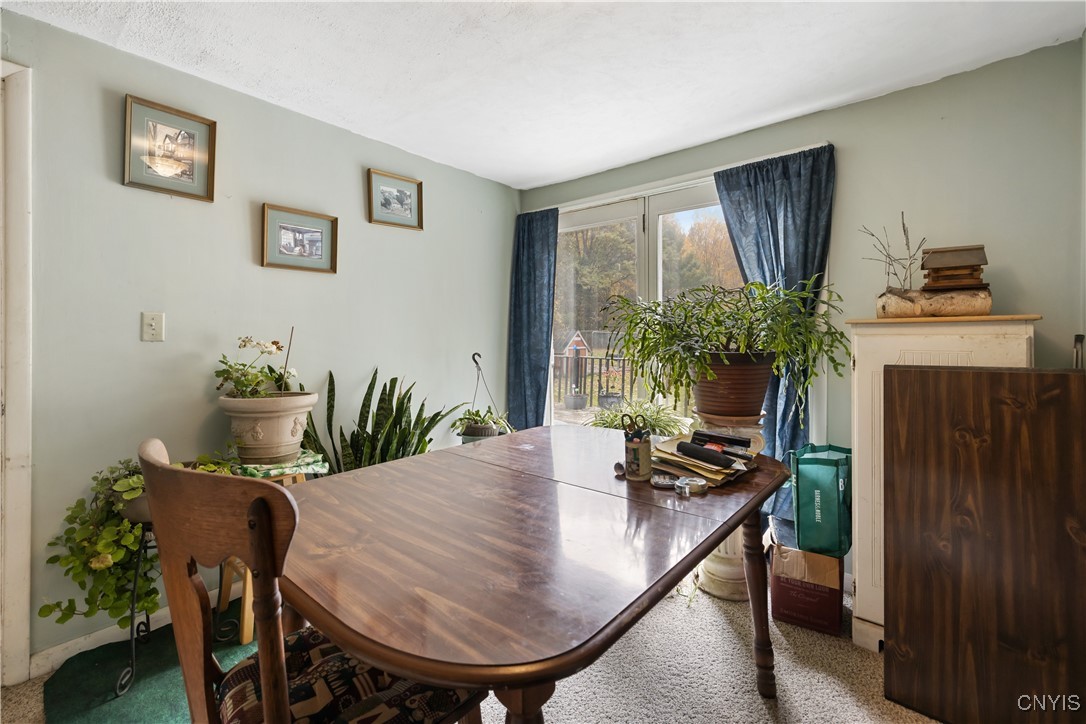 1302 Fyler Road Sullivan, NY 13082 - Photo 9 of 44 1302 Fyler Rd