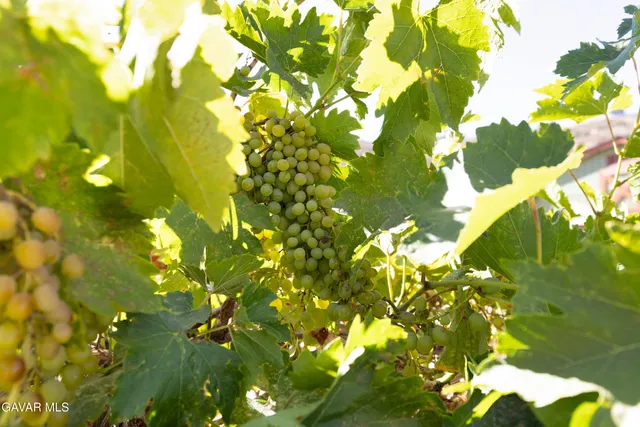 $759,000 | 25880 Skyline Drive, Tehachapi, CA 93561