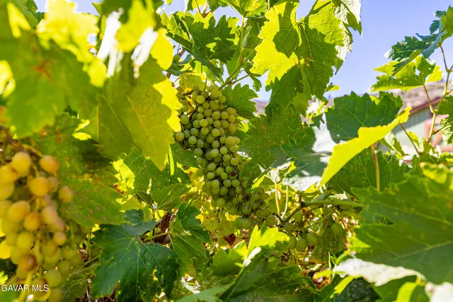 $759,000 | 25880 Skyline Drive, Tehachapi, CA 93561