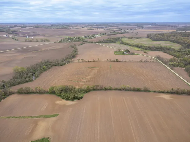 a view of a dry yard with wooden fence