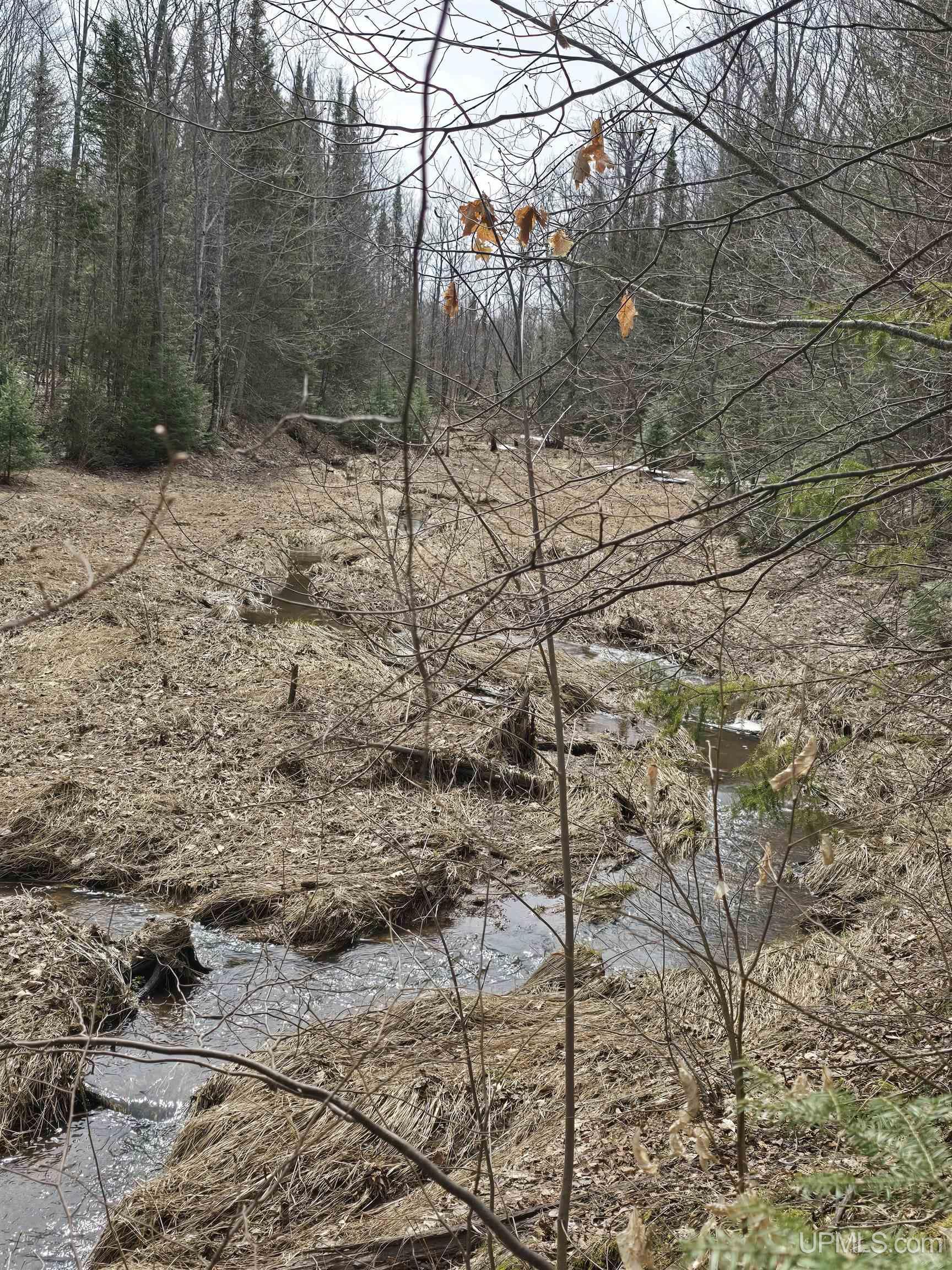 Tbd Woodspur Road Ontonagon, MI 49953 - Photo 11 of 46