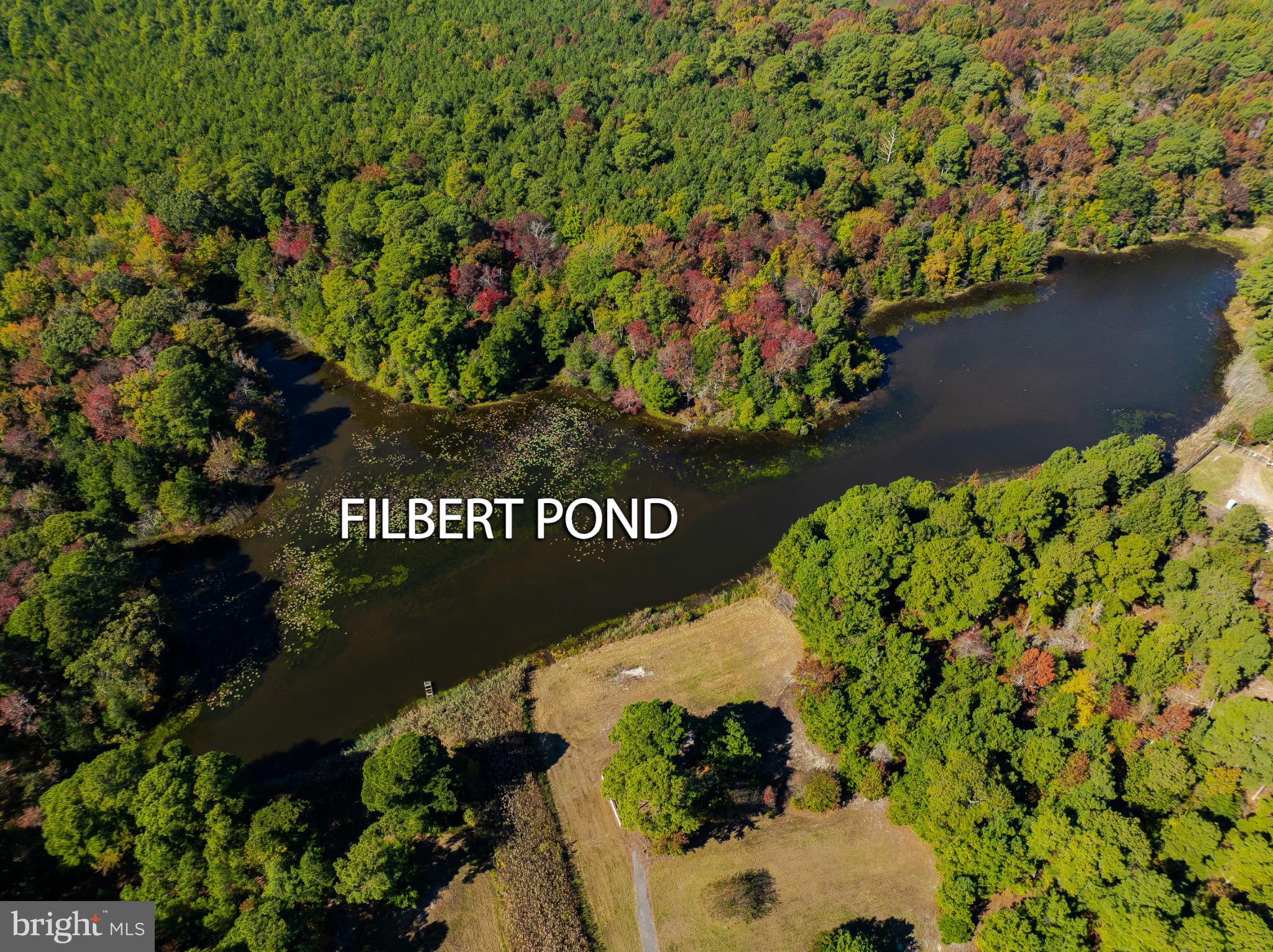 50645 Holly Point Road Dameron, MD 20628 - Photo 19 of 99