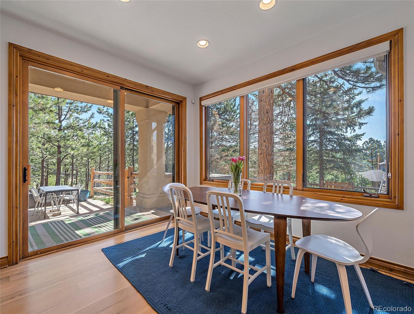 2251 Baldy Lane Evergreen, CO 80439 - Photo 14 of 40