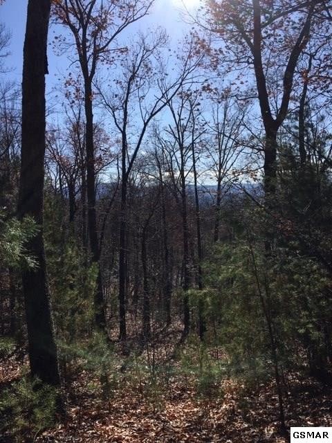 128 Bluff Mountain Road Sevierville, TN 37862 - Photo 3 of 6 Gallery Image 3