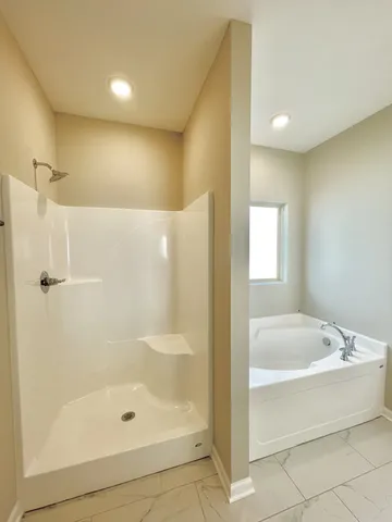 a bathroom with a bathtub and shower