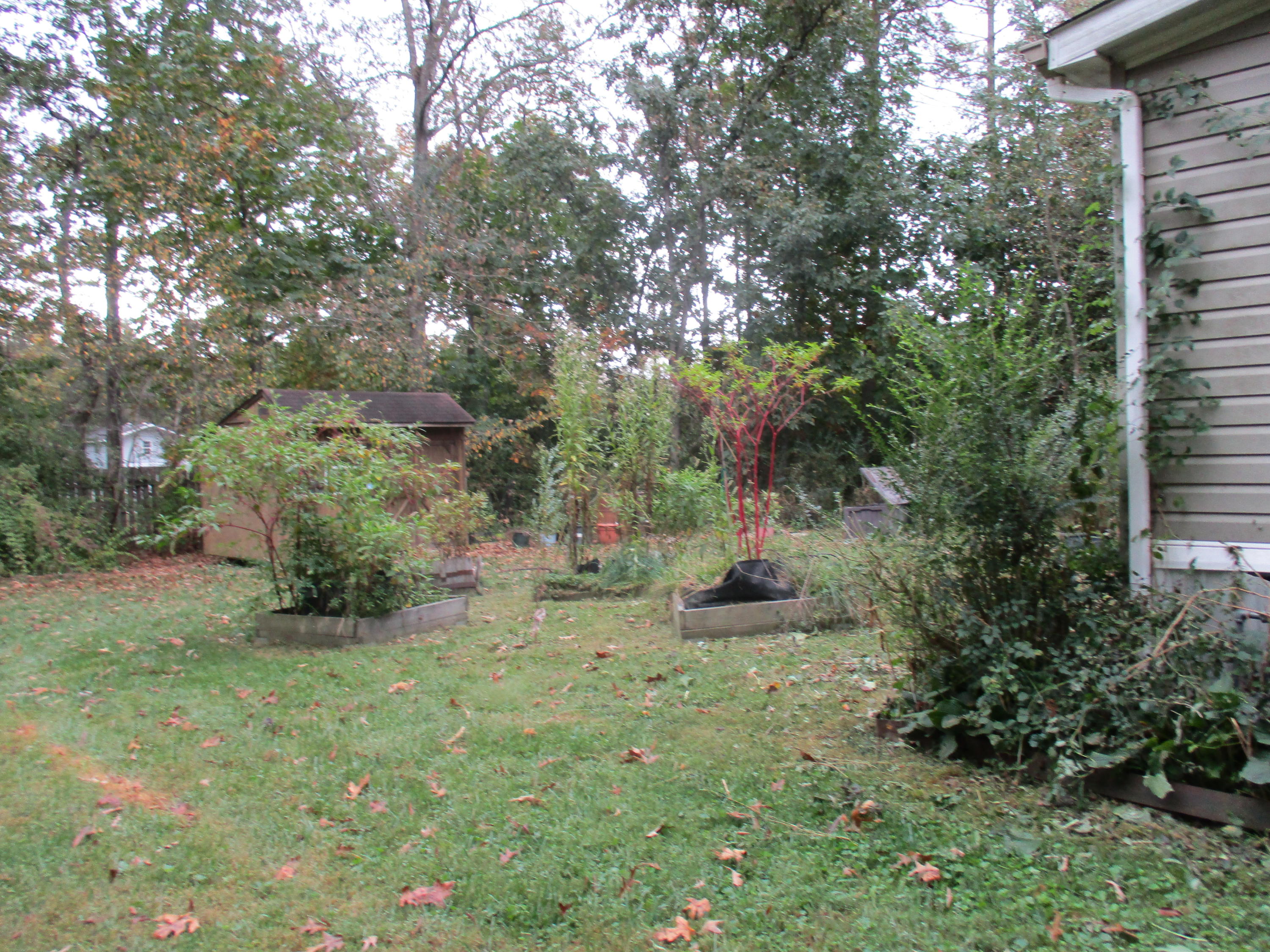 718 Kima Road Crossville, TN 38572 - Photo 3 of 16 Back Yard