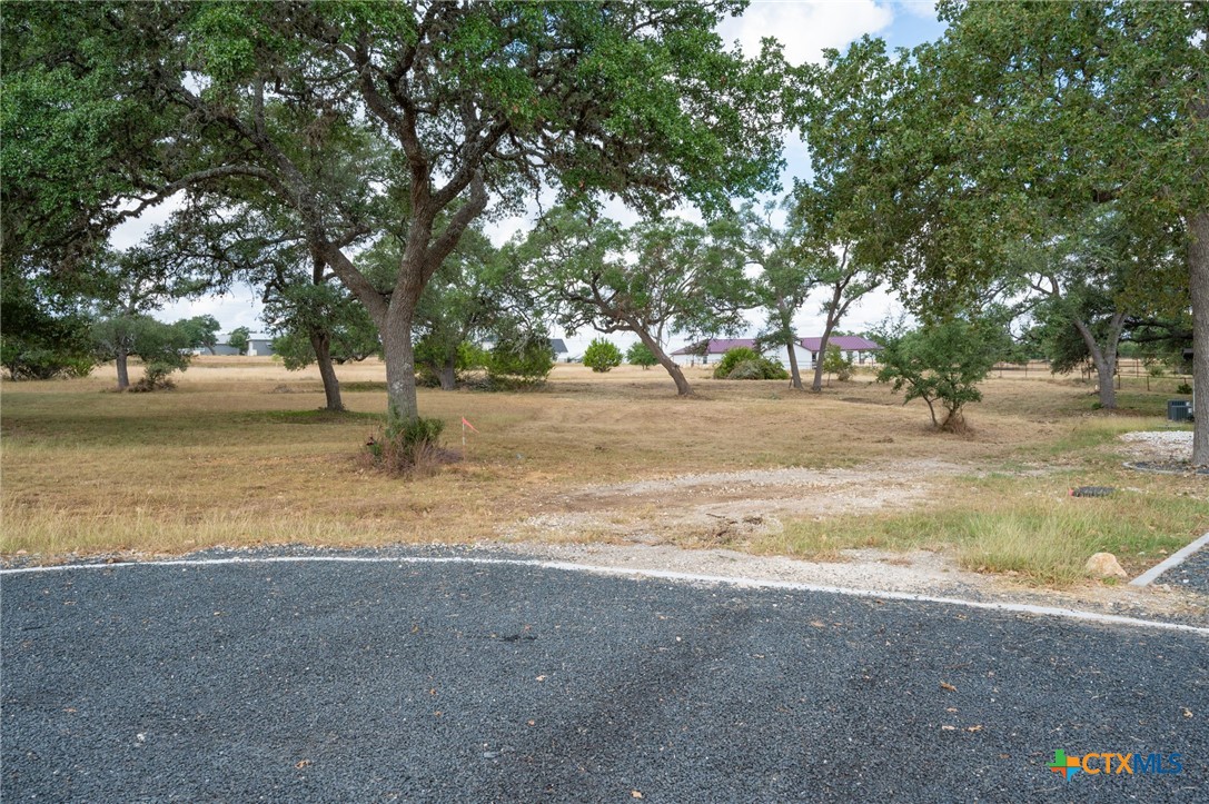 141 North Lon Price Blanco, TX 78606 - Photo 6 of 14 a view of dirt yard with a tree