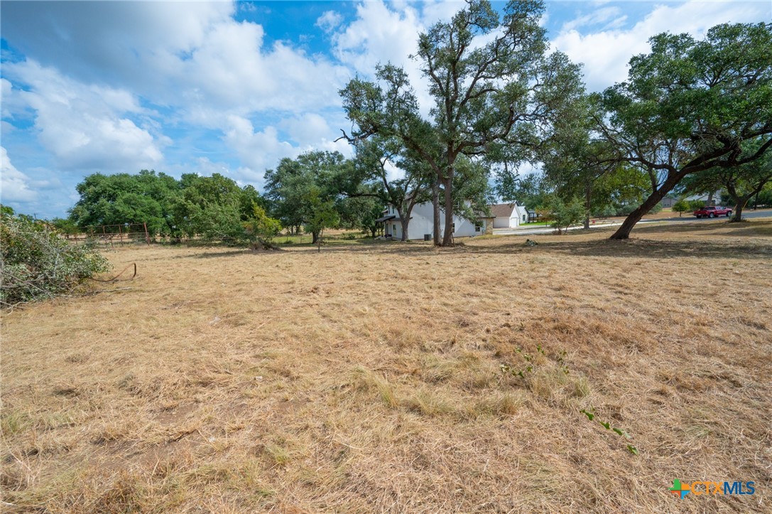 141 North Lon Price Blanco, TX 78606 - Photo 8 of 14 a backyard of a house with lots of green space
