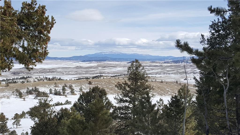 Lot 5878 Running Bear Road Hartsel, CO 80449 - Photo 1 of 25 Gallery Image 1