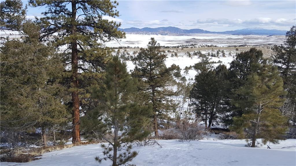 Lot 5878 Running Bear Road Hartsel, CO 80449 - Photo 2 of 25 Gallery Image 2