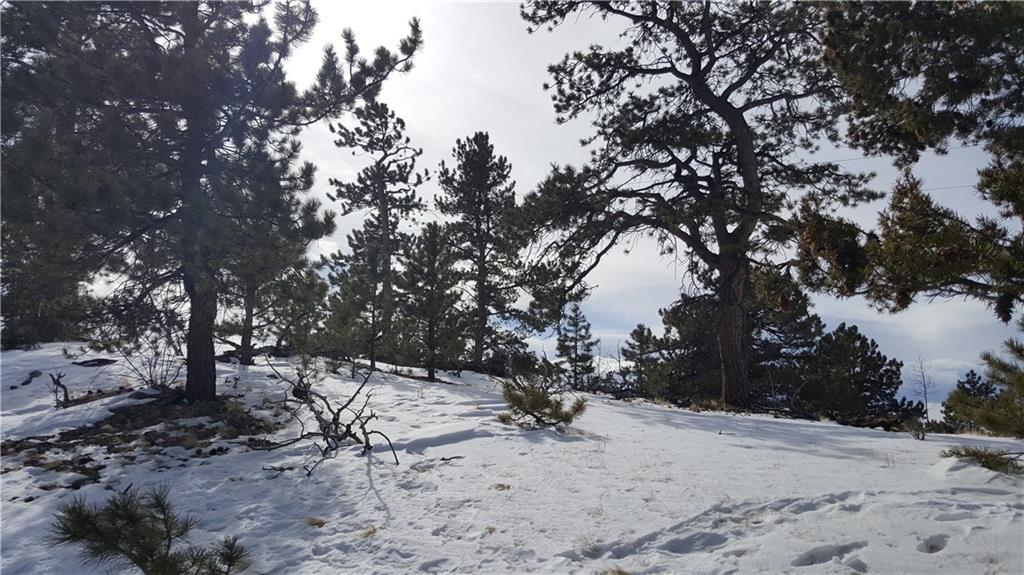 Lot 5878 Running Bear Road Hartsel, CO 80449 - Photo 11 of 25 Gallery Image 11