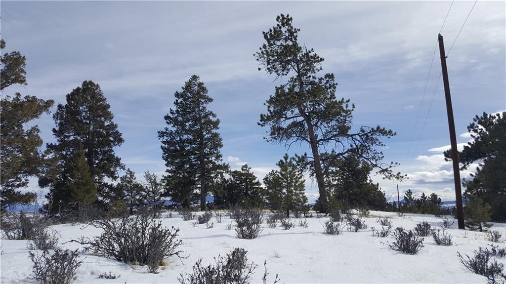 Lot 5878 Running Bear Road Hartsel, CO 80449 - Photo 13 of 25 Gallery Image 13