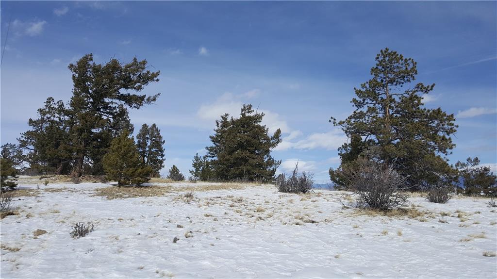 Lot 5878 Running Bear Road Hartsel, CO 80449 - Photo 14 of 25 Gallery Image 14