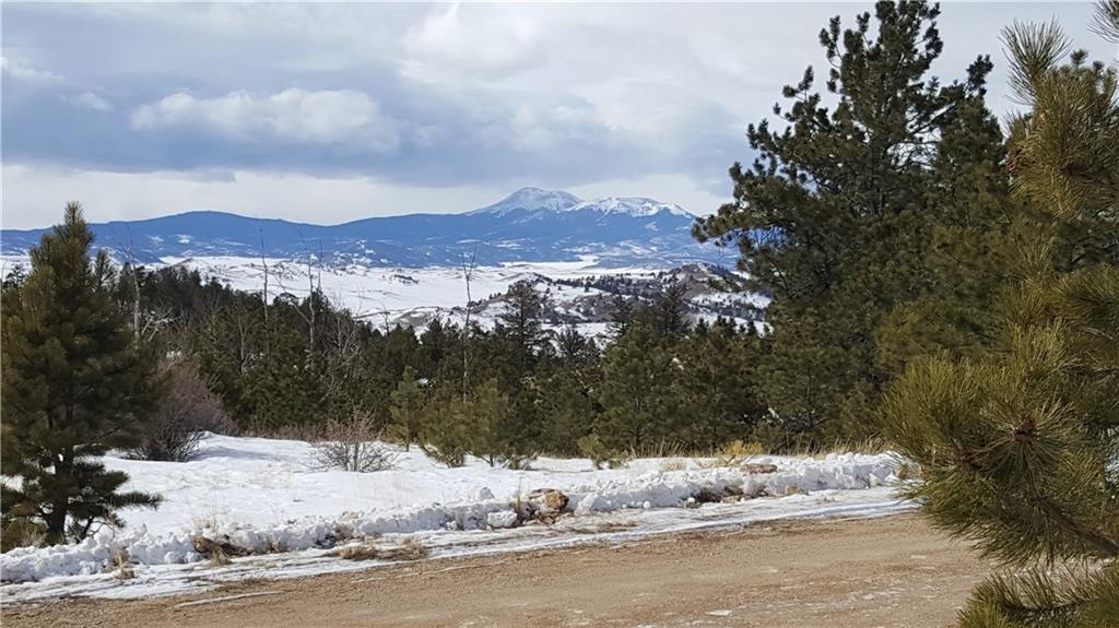 Lot 5878 Running Bear Road Hartsel, CO 80449 - Photo 20 of 25 Gallery Image 20
