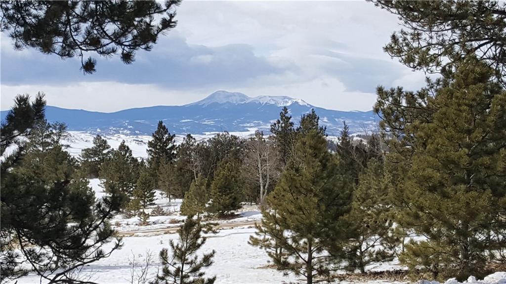 Lot 5878 Running Bear Road Hartsel, CO 80449 - Photo 3 of 25 Gallery Image 3