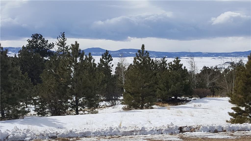 Lot 5878 Running Bear Road Hartsel, CO 80449 - Photo 21 of 25 Gallery Image 21