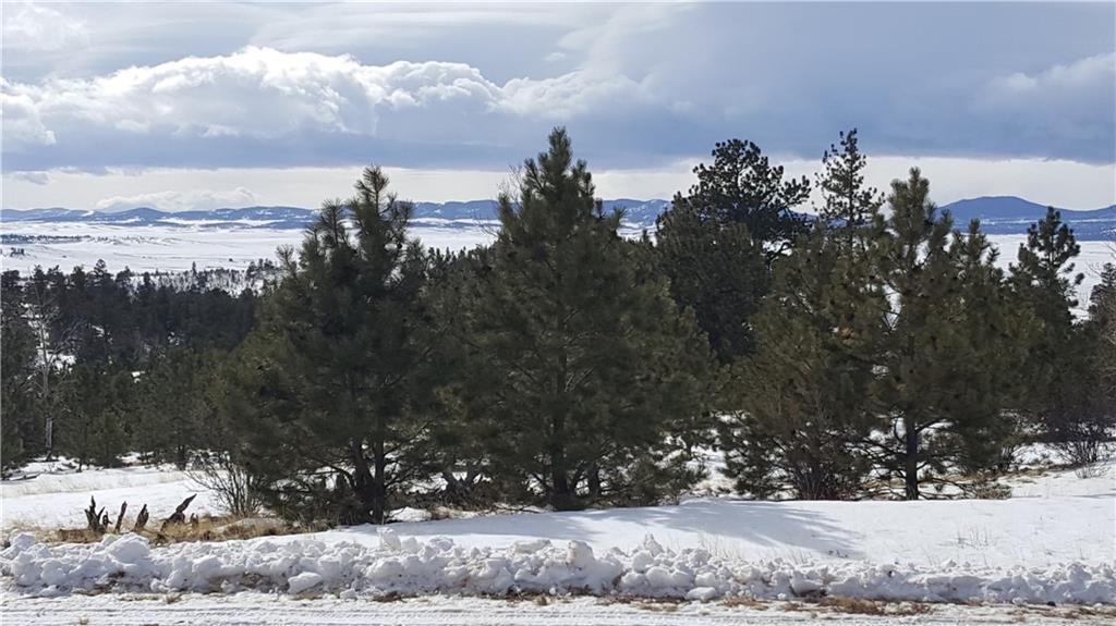 Lot 5878 Running Bear Road Hartsel, CO 80449 - Photo 22 of 25 Gallery Image 22