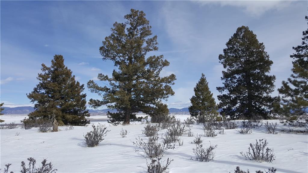Lot 5878 Running Bear Road Hartsel, CO 80449 - Photo 24 of 25 Gallery Image 24