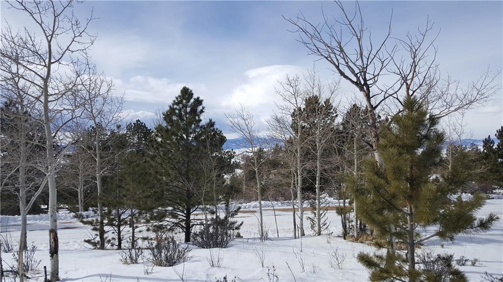 Lot 5878 Running Bear Road Hartsel, CO 80449 - Photo 25 of 25 Gallery Image 25