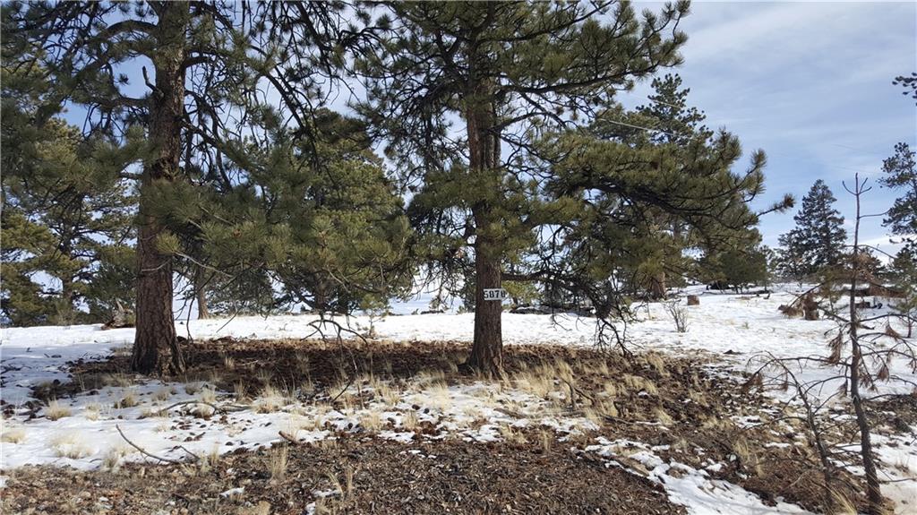 Lot 5878 Running Bear Road Hartsel, CO 80449 - Photo 4 of 25 Gallery Image 4