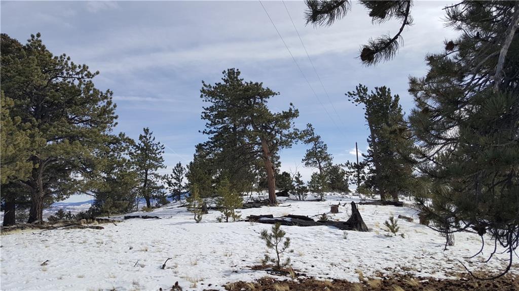 Lot 5878 Running Bear Road Hartsel, CO 80449 - Photo 6 of 25 Gallery Image 6