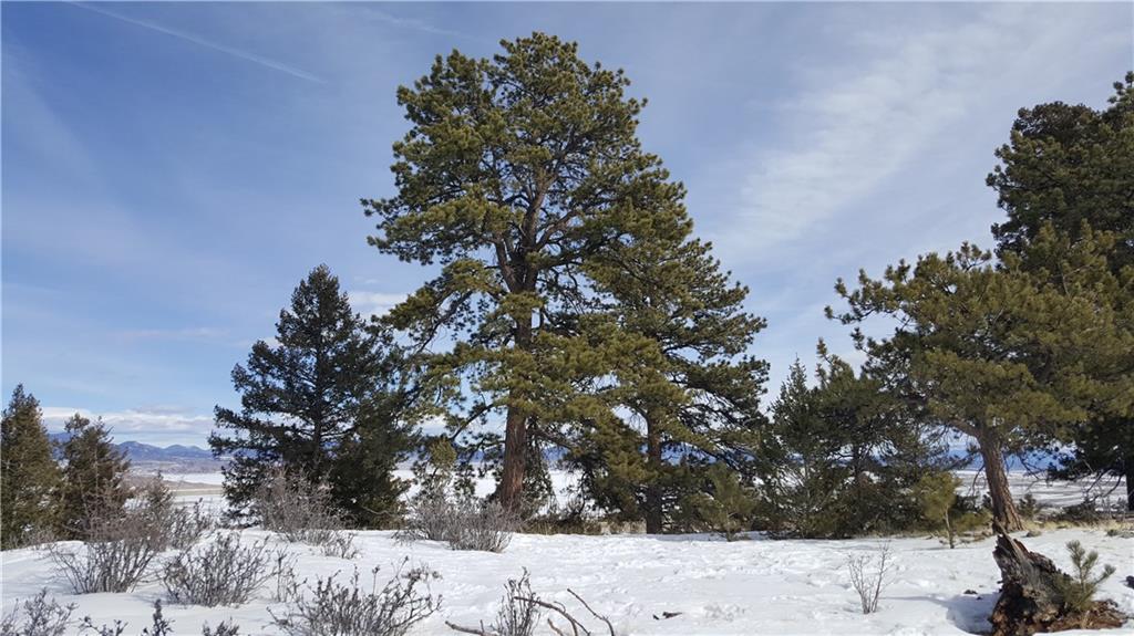 Lot 5878 Running Bear Road Hartsel, CO 80449 - Photo 7 of 25 Gallery Image 7