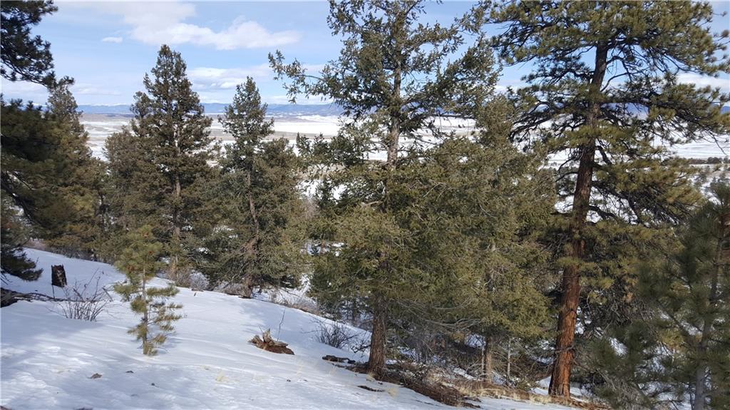 Lot 5878 Running Bear Road Hartsel, CO 80449 - Photo 8 of 25 Gallery Image 8