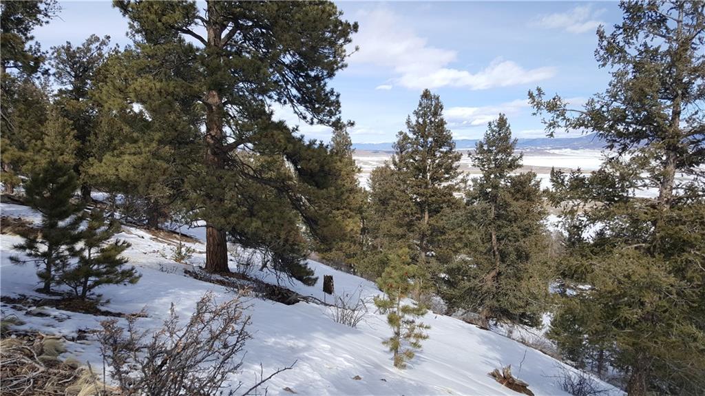 Lot 5878 Running Bear Road Hartsel, CO 80449 - Photo 9 of 25 Gallery Image 9